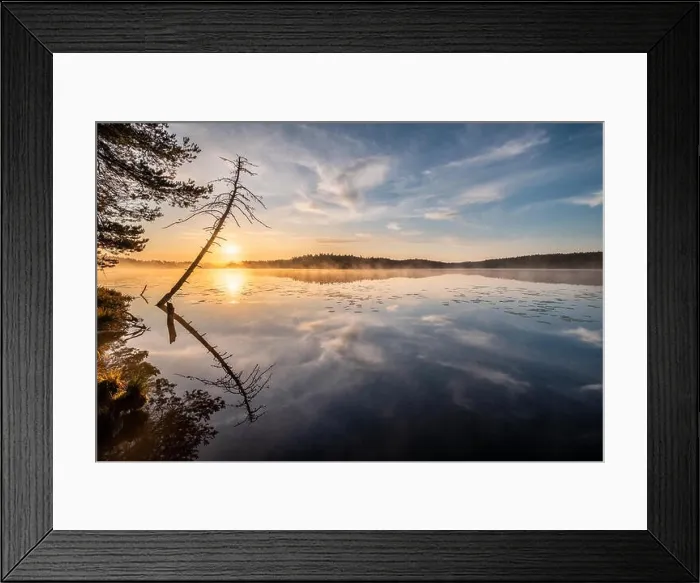 Framed Print : Beautiful sunrise landscape with tree reflection and calm lake at foggy summer morning in Finland Framed Print : Beautiful sunrise landscape with tree reflection and calm lake at foggy summer morning in Finland