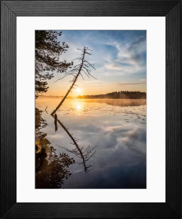 Framed Print : Beautiful sunrise landscape with tree reflection and calm lake at foggy summer morning in Finland Framed Print : Beautiful sunrise landscape with tree reflection and calm lake at foggy summer morning in Finland