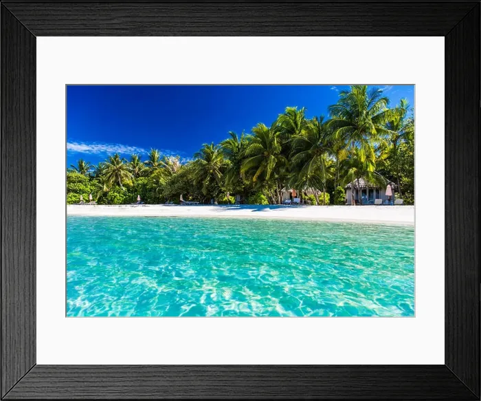 Framed Print : Beautiful beach in Maldives with few palm trees and blue lagoon. Tropical background concept Framed Print : Beautiful beach in Maldives with few palm trees and blue lagoon. Tropical background concept