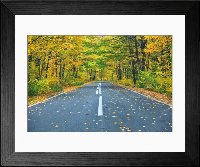 Framed Print : Narrow winding road in yellow autumn forest, with fallen leaves on the road Framed Print : Narrow winding road in yellow autumn forest, with fallen leaves on the road