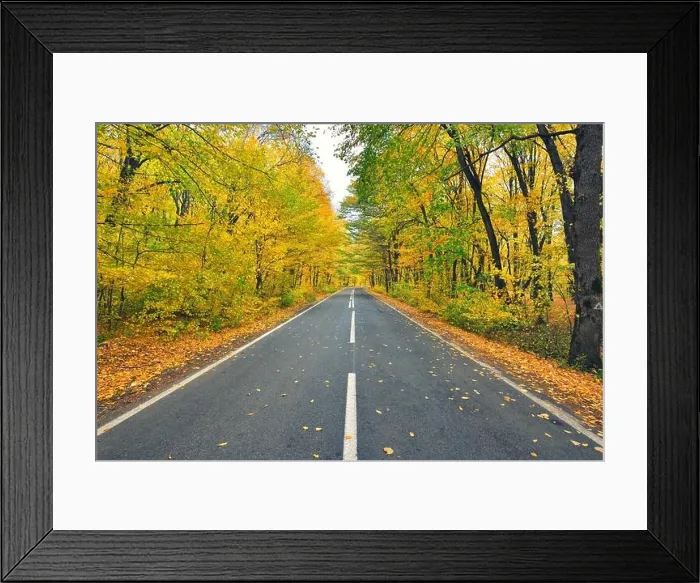 Framed Print : Narrow winding road in yellow autumn forest, with fallen leaves on the road Framed Print : Narrow winding road in yellow autumn forest, with fallen leaves on the road
