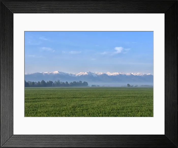 Framed Print : Green field against foggy forest and snowy mountains in the background Framed Print : Green field against foggy forest and snowy mountains in the background