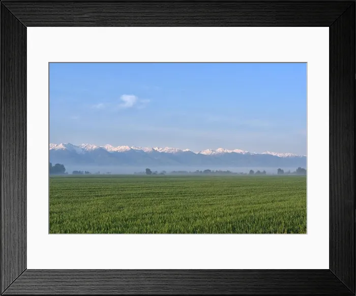 Framed Print : Green field against foggy forest and snowy mountains in the background Framed Print : Green field against foggy forest and snowy mountains in the background