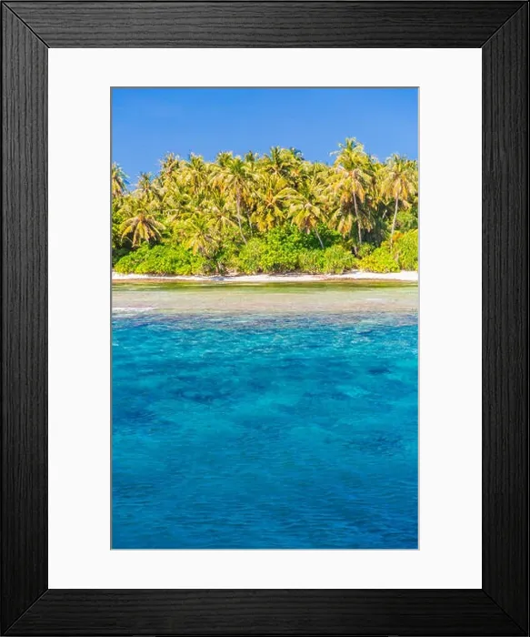 Framed Print : Amazing tropical beach in Maldives with few palm trees and blue lagoon Framed Print : Amazing tropical beach in Maldives with few palm trees and blue lagoon