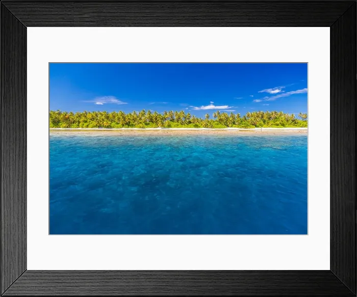 Framed Print : Amazing tropical beach in Maldives with few palm trees and blue lagoon