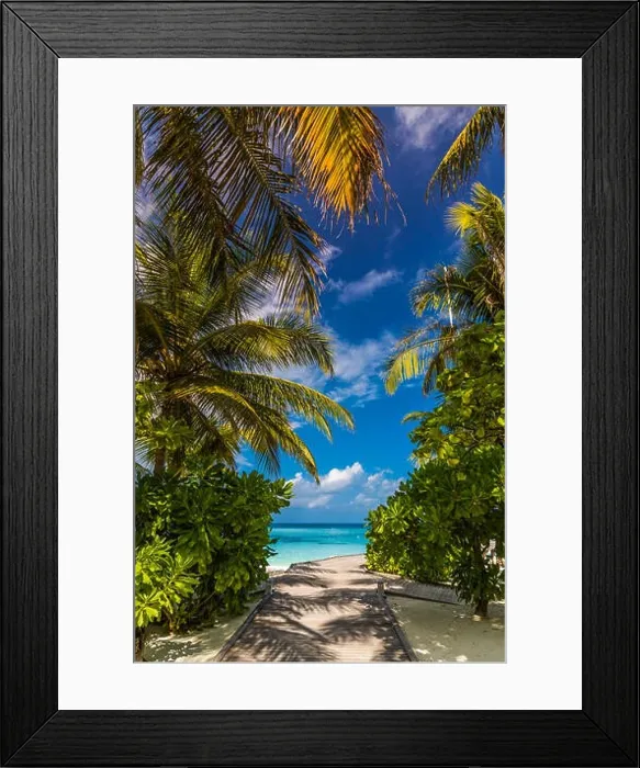 Framed Print : Beautiful beach in Maldives. Summer holiday travel concept Framed Print : Beautiful beach in Maldives. Summer holiday travel concept