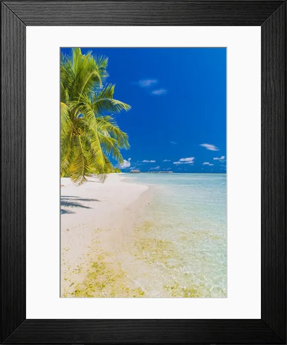 Framed Print : Beautiful beach in Maldives. Summer holiday travel concept Framed Print : Beautiful beach in Maldives. Summer holiday travel concept