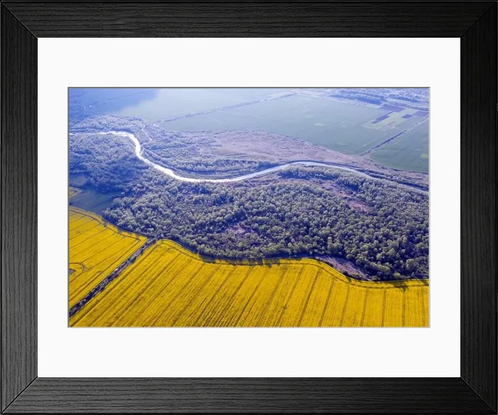 Framed Print : Flight through majestic river, lush green forest and blooming yellow rapeseed fields at sunset time. Landscape photography Framed Print : Flight through majestic river, lush green forest and blooming yellow rapeseed fields at sunset time. Landscape photography