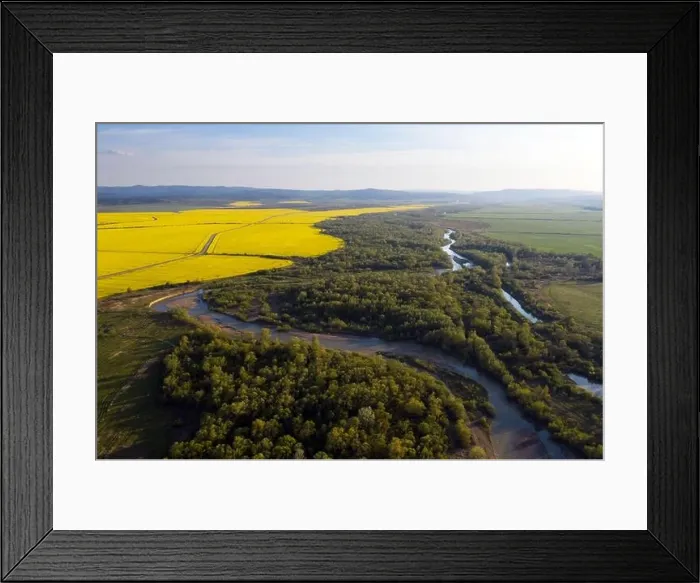 Framed Print : Flight through majestic river Dnister, lush green forest and blooming yellow rapeseed fields at sunset time. Ukraine, Europe. Landscape photography Framed Print : Flight through majestic river Dnister, lush green forest and blooming yellow rapeseed fields at sunset time. Ukraine, Europe. Landscape photography