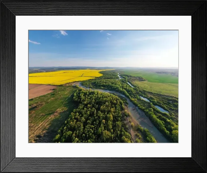 Framed Print : Flight through majestic river, lush green forest and blooming yellow rapeseed fields at sunset time. Landscape photography Framed Print : Flight through majestic river, lush green forest and blooming yellow rapeseed fields at sunset time. Landscape photography