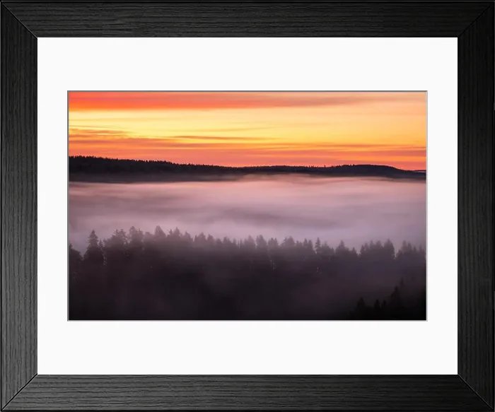 Framed Print : Scenic foggy landscape with mood forest at summer morning at National park, Finland. High angle aerial view Framed Print : Scenic foggy landscape with mood forest at summer morning at National park, Finland. High angle aerial view