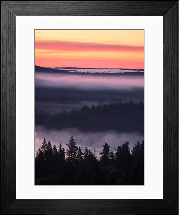 Framed Print : Scenic foggy landscape with mood forest at summer morning at National park, Finland. High angle aerial view Framed Print : Scenic foggy landscape with mood forest at summer morning at National park, Finland. High angle aerial view