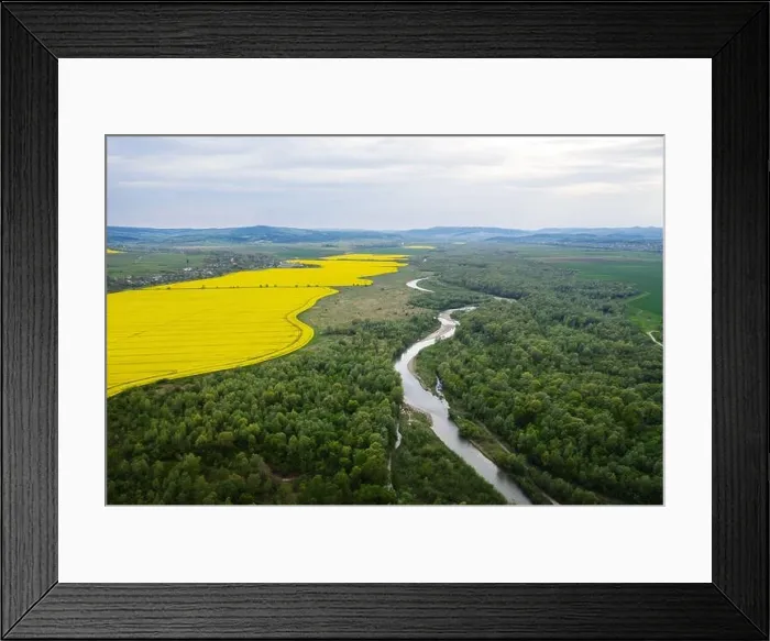 Framed Print : Flight through majestic river, lush green forest and blooming yellow rapeseed fields at sunset time. Landscape photography Framed Print : Flight through majestic river, lush green forest and blooming yellow rapeseed fields at sunset time. Landscape photography