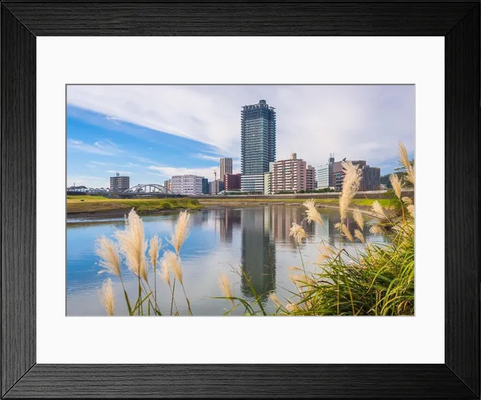Framed Print : Kumamoto, Japan downtown cityscape on the Shirakawa River in the afternoon
