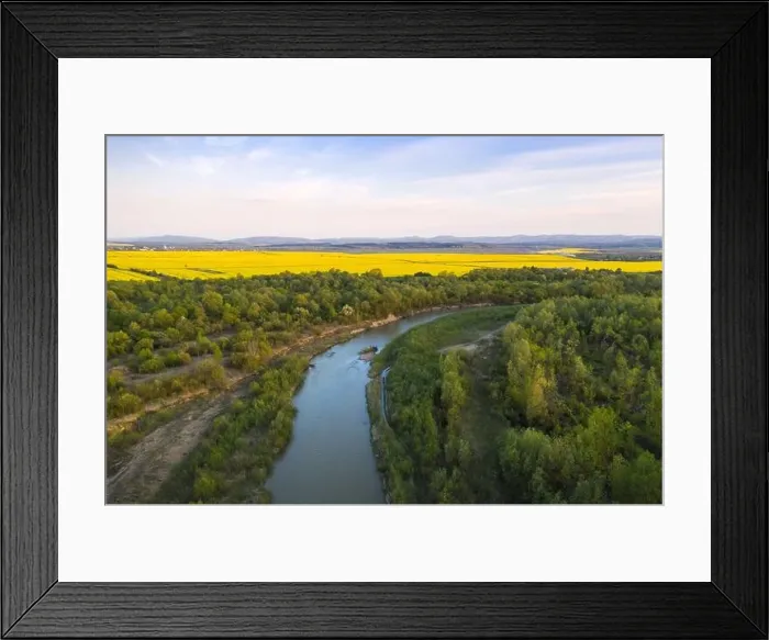 Framed Print : Flight through majestic river Dnister, lush green forest and blooming yellow rapeseed fields at sunset time. Ukraine, Europe. Landscape photography Framed Print : Flight through majestic river Dnister, lush green forest and blooming yellow rapeseed fields at sunset time. Ukraine, Europe. Landscape photography