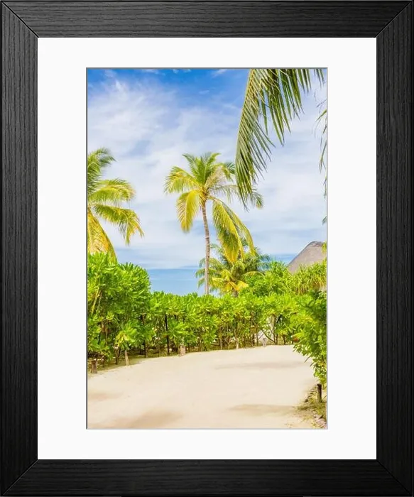 Framed Print : Tropical island scenery, palm trees with cloudy blue sky. Exotic travel destination Framed Print : Tropical island scenery, palm trees with cloudy blue sky. Exotic travel destination