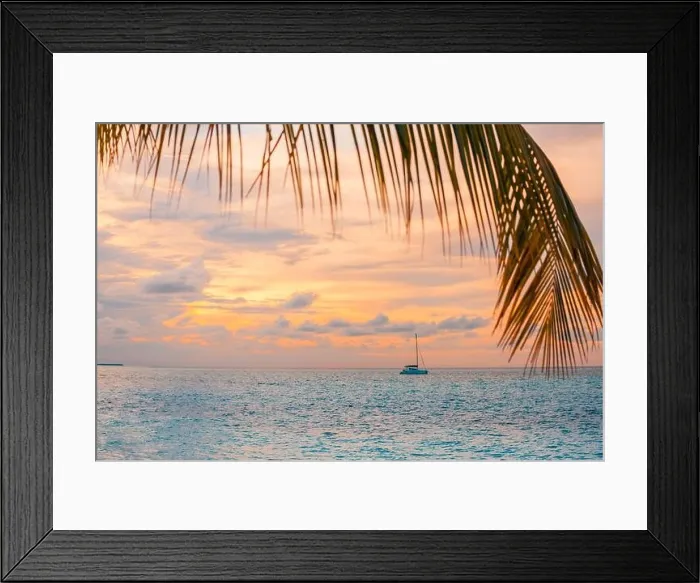 Framed Print : Tropical sunset with palm leaves framing a sailing boat, sunset sky reflection on the water. Summer recreational sport activity, sailing, yachting Framed Print : Tropical sunset with palm leaves framing a sailing boat, sunset sky reflection on the water. Summer recreational sport activity, sailing, yachting