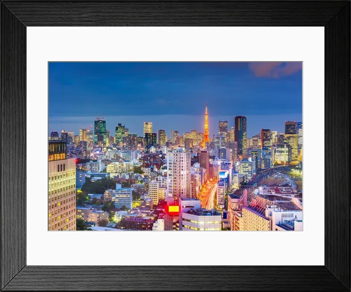 Framed Print : Tokyo, Japan downtown skyline view from aove the Shinagawa area at night