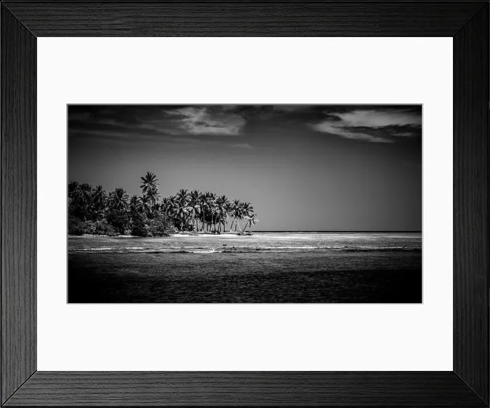 Framed Print : Perfect black and white beach scene. Sunset, sunrise silhouette of coconut palm tree with sun loungers and umbrella. Abstract, artistic summer mood Framed Print : Perfect black and white beach scene. Sunset, sunrise silhouette of coconut palm tree with sun loungers and umbrella. Abstract, artistic summer mood