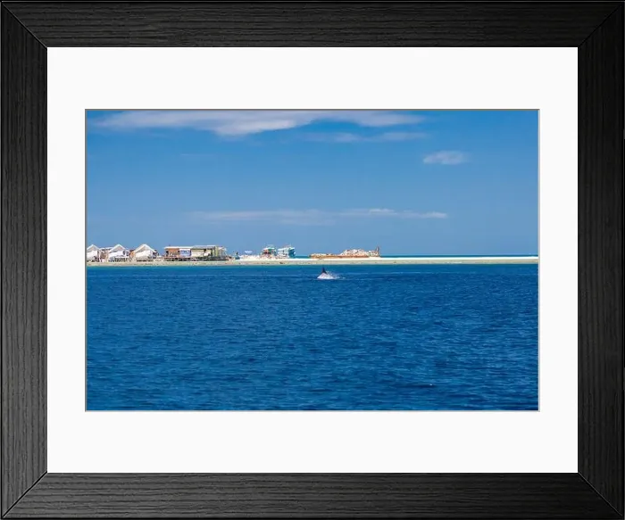 Framed Print : Landscape in Maldives Islands and over water villas and bungalows with group of dolphins swimming Framed Print : Landscape in Maldives Islands and over water villas and bungalows with group of dolphins swimming