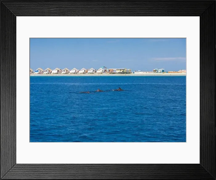 Framed Print : Landscape in Maldives Islands and over water villas and bungalows with group of dolphins swimming Framed Print : Landscape in Maldives Islands and over water villas and bungalows with group of dolphins swimming