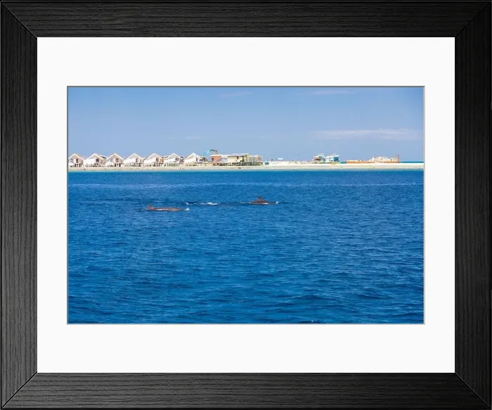 Framed Print : Landscape in Maldives Islands and over water villas and bungalows with group of dolphins swimming Framed Print : Landscape in Maldives Islands and over water villas and bungalows with group of dolphins swimming