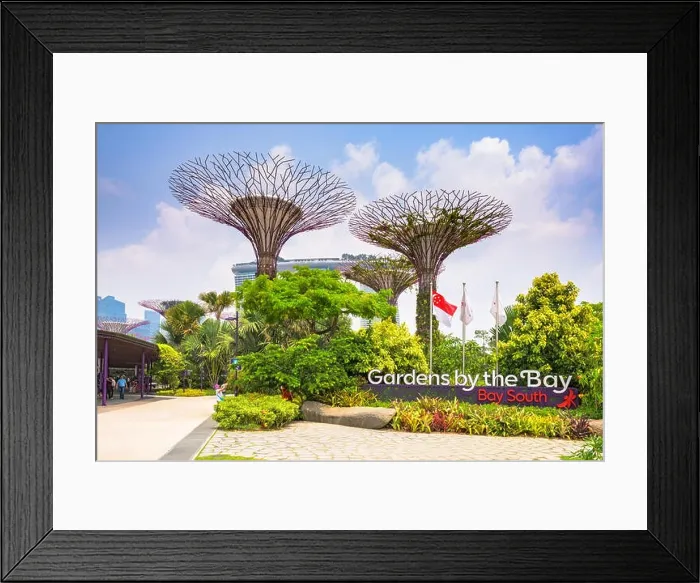 Framed Print : Gardens by the Bay in Singapore Framed Print : Gardens by the Bay in Singapore