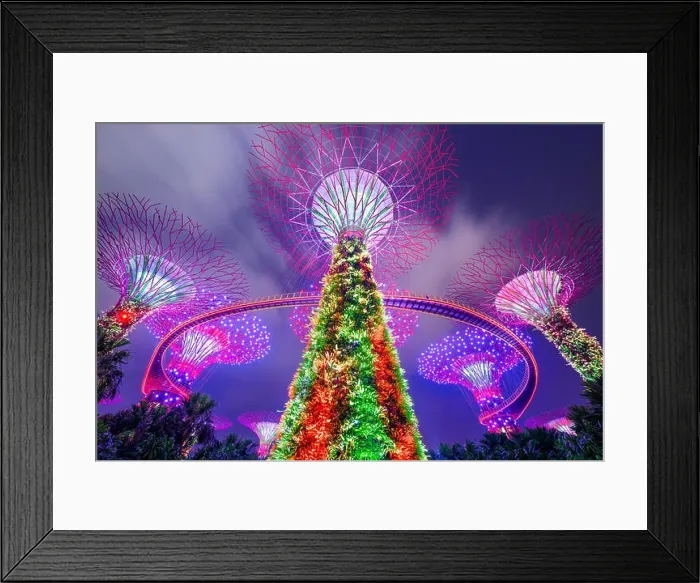 Framed Print : Supertrees at Gardens by the Bay in Singapore Framed Print : Supertrees at Gardens by the Bay in Singapore