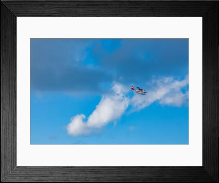 Framed Print : Sea plane at tropical beach resort. Luxury summer travel destination with seaplane in Maldives islands. Exotic vacation or holiday transportation Framed Print : Sea plane at tropical beach resort. Luxury summer travel destination with seaplane in Maldives islands. Exotic vacation or holiday transportation