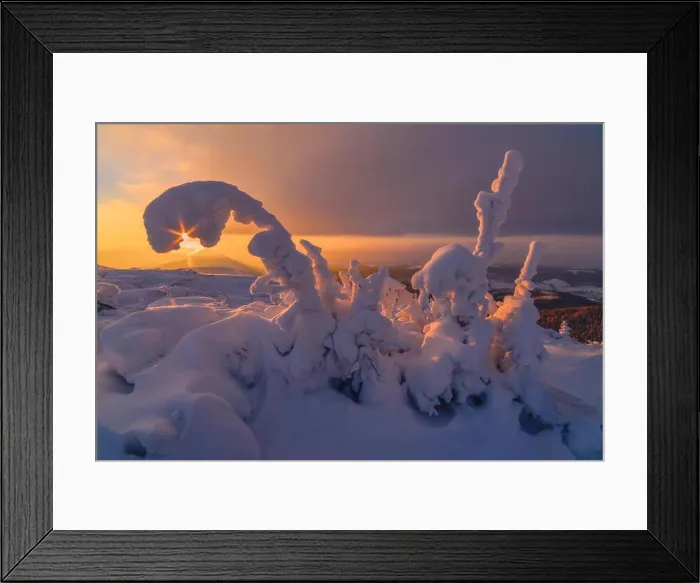 Framed Print : Fantastic orange evening landscape glowing by sunlight. Dramatic wintry scene with snowy trees. Carpathians, Ukraine, Europe. Me
