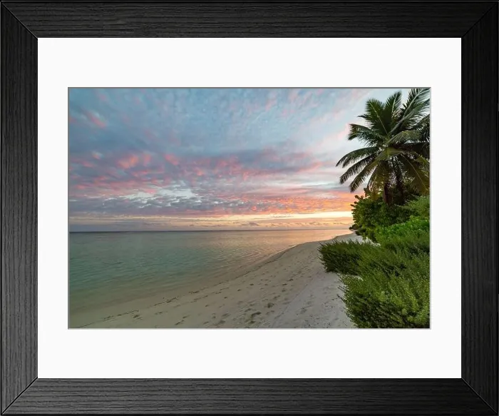 Framed Print : Sunset landscape, tropical nature foliage with sunset sky. Tranquil sea view with copy space for text, soft pastel colors Framed Print : Sunset landscape, tropical nature foliage with sunset sky. Tranquil sea view with copy space for text, soft pastel colors