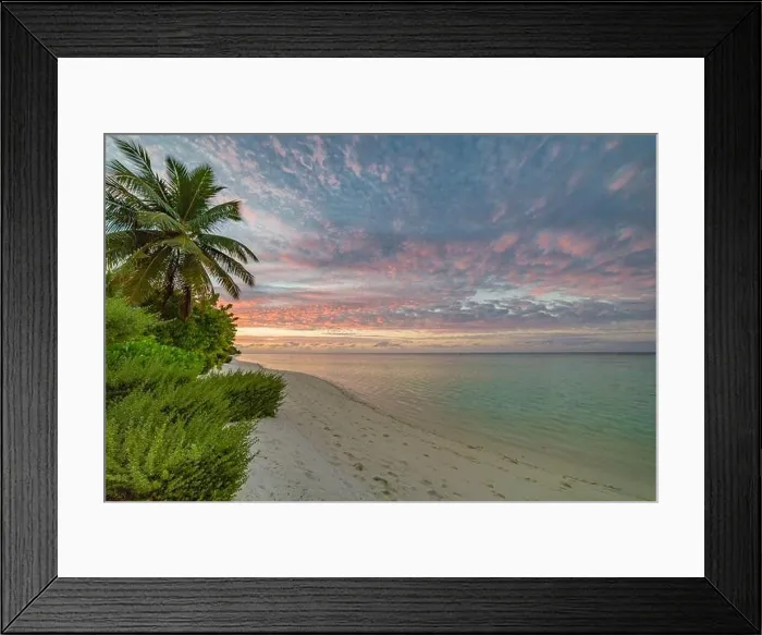 Framed Print : Sunset landscape, tropical nature foliage with sunset sky. Tranquil sea view with copy space for text, soft pastel colors Framed Print : Sunset landscape, tropical nature foliage with sunset sky. Tranquil sea view with copy space for text, soft pastel colors