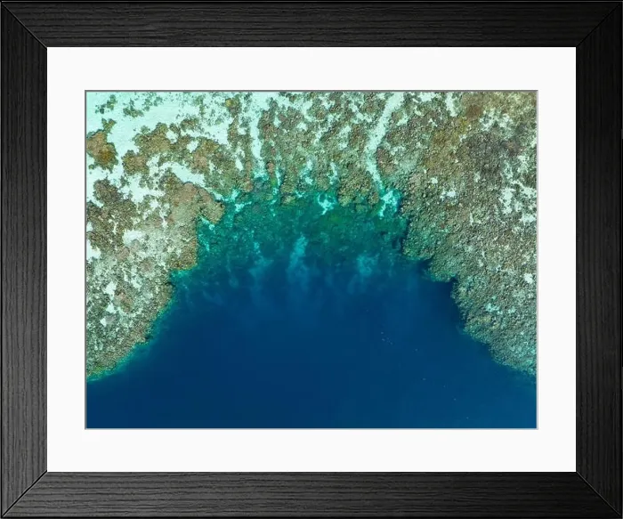 Framed Print : Seen from a bird's eye view, a healthy coral reef thrives in the Solomon Islands. This beautiful country is home to spectacular marine biodiversity Framed Print : Seen from a bird's eye view, a healthy coral reef thrives in the Solomon Islands. This beautiful country is home to spectacular marine biodiversity