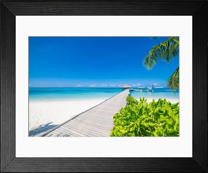 Framed Print : Beautiful tropical Maldives island with beach, sea coconut palm tree on blue sky for nature holiday vacation background concept. Perfect summer beach Framed Print : Beautiful tropical Maldives island with beach, sea coconut palm tree on blue sky for nature holiday vacation background concept. Perfect summer beach