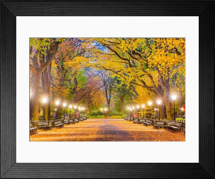 Framed Print : Central Park at The Mall in New York City during autumn dawn Framed Print : Central Park at The Mall in New York City during autumn dawn