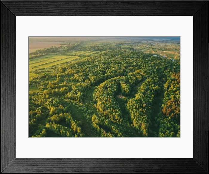 Framed Print : Aerial View Green Forest Woods Landscape In Sunny Spring Evening. Top View Of Beautiful European Nature From High Attitude In Summer Season. Drone Vie Framed Print : Aerial View Green Forest Woods Landscape In Sunny Spring Evening. Top View Of Beautiful European Nature From High Attitude In Summer Season. Drone Vie