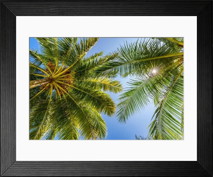 Framed Print : Coconut palm trees over amazing island with blur sky view. Palms as tropical background pattern, nature texture