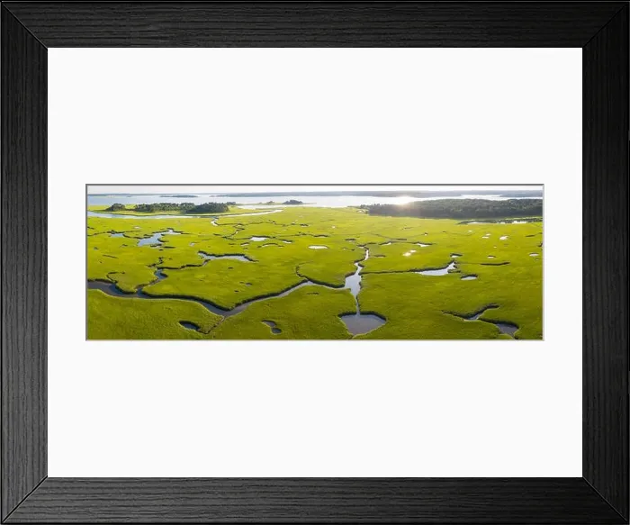 Framed Print : A healthy salt marsh grows in Pleasant Bay on Cape Cod, Massachusetts. This type of marine habitat serves as a nursery for fish and invertebrates Framed Print : A healthy salt marsh grows in Pleasant Bay on Cape Cod, Massachusetts. This type of marine habitat serves as a nursery for fish and invertebrates