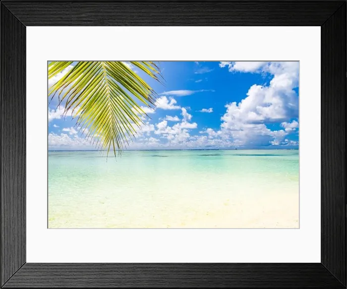 Framed Print : Beautiful beach with palm trees and moody sky. Summer vacation travel holiday background concept. paradise beach. Luxury travel summer holiday Framed Print : Beautiful beach with palm trees and moody sky. Summer vacation travel holiday background concept. paradise beach. Luxury travel summer holiday