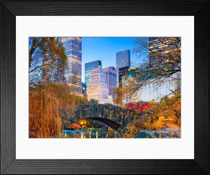 Framed Print : Central Park during autumn in New york City Framed Print : Central Park during autumn in New york City