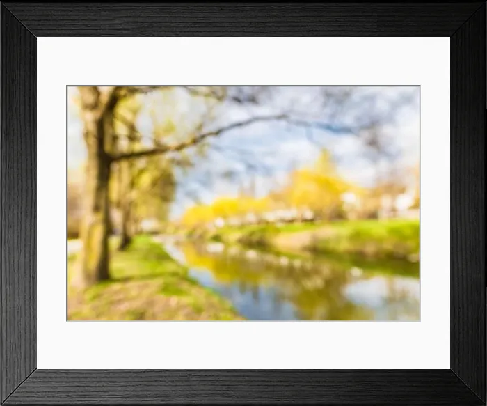 Framed Print : Blurred park garden tree and river in nature background, blurry green bokeh light outdoor in spring background Framed Print : Blurred park garden tree and river in nature background, blurry green bokeh light outdoor in spring background