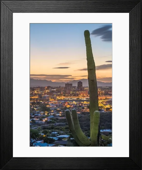 Framed Print : Tucson, Arizona, USA city skyline and cactus at dusk Framed Print : Tucson, Arizona, USA city skyline and cactus at dusk