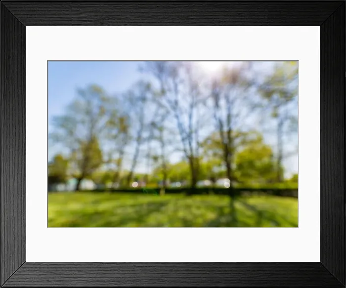 Framed Print : Blur park with sun light abstract background Framed Print : Blur park with sun light abstract background
