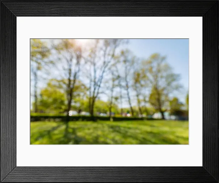 Framed Print : Blur park with sun light abstract background Framed Print : Blur park with sun light abstract background