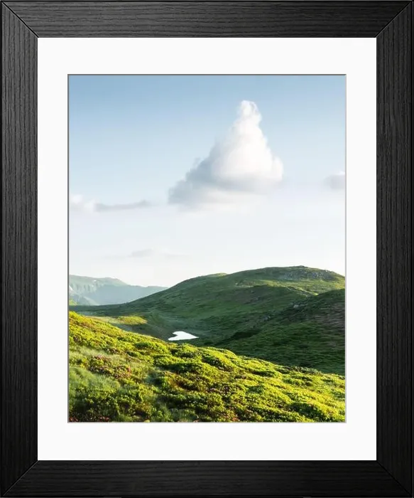 Framed Print : Small heart-shaped mountain lake on green slopes covered with pink blooming rhododendron flowers. Fluffy cloud in the blue sky Framed Print : Small heart-shaped mountain lake on green slopes covered with pink blooming rhododendron flowers. Fluffy cloud in the blue sky