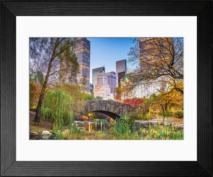Framed Print : Central Park during autumn in New york City Framed Print : Central Park during autumn in New york City