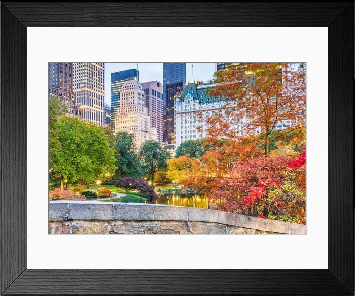 Framed Print : Central Park during autumn in New york City Framed Print : Central Park during autumn in New york City