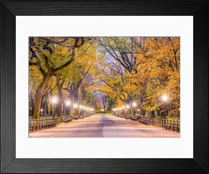 Framed Print : Central Park at The Mall in New York City during autumn dawn Framed Print : Central Park at The Mall in New York City during autumn dawn