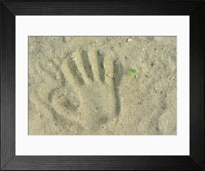 Framed Print : Kid hand prints on the sand neat a little plant Framed Print : Kid hand prints on the sand neat a little plant