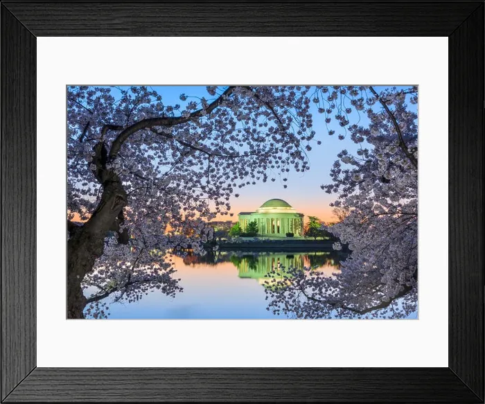 Framed Print : Washington, DC at the Jefferson Memorial during spring Framed Print : Washington, DC at the Jefferson Memorial during spring